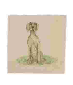 Weimaraner Cushion Panel