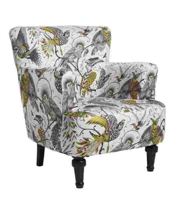 Statement Chairs - Dalston Audubon Gold