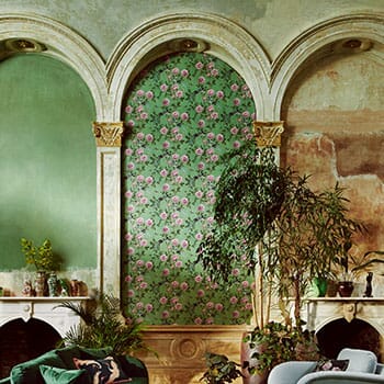 Paloma Home Wallpaper by Paloma Faith