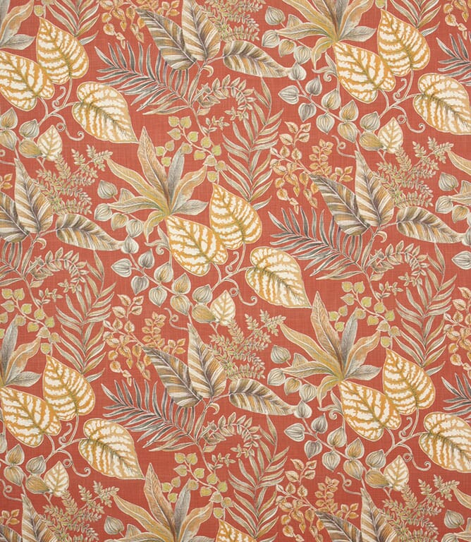 Terracotta Paloma Fabric