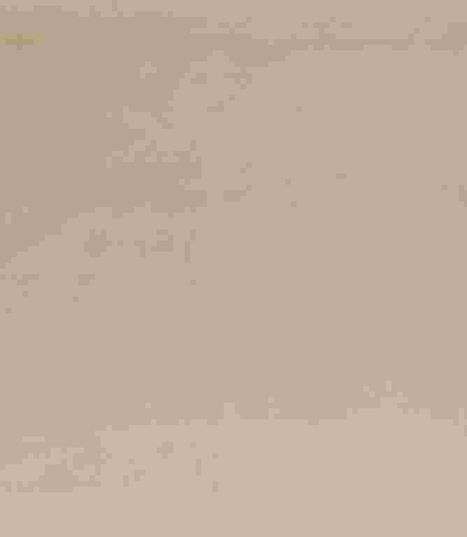 Adley FR Velvet Fabric / Almond Adley FR Velvet Fabric / Almond