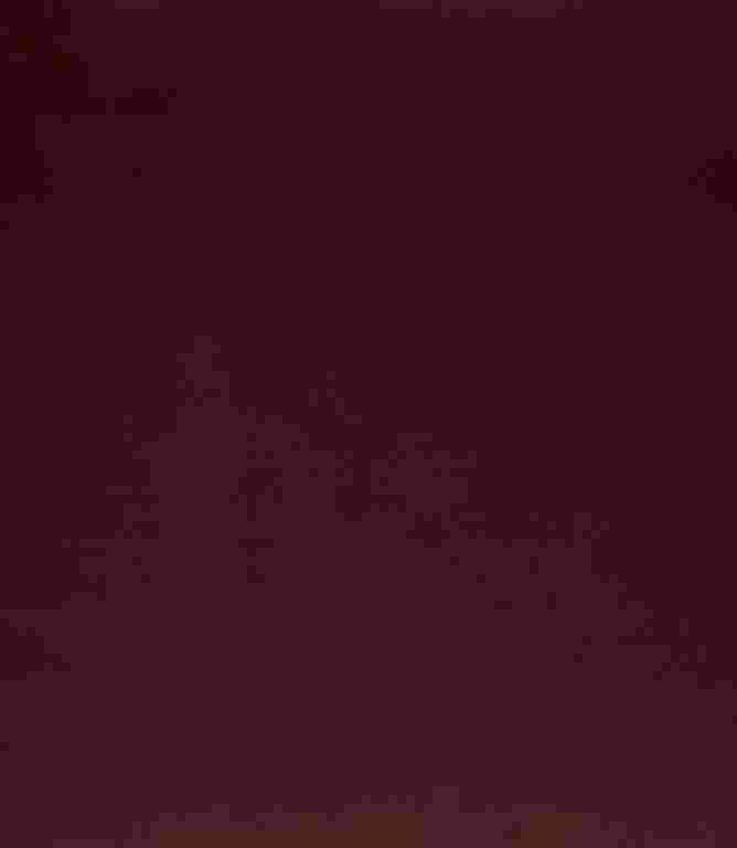 Adley FR Velvet Fabric / Bordeaux Adley FR Velvet Fabric / Bordeaux