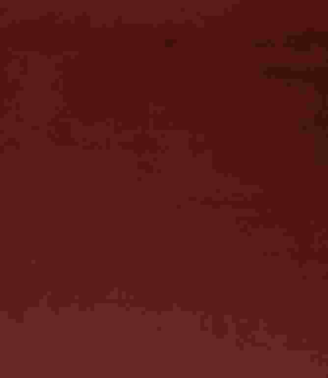 Adley FR Velvet Fabric / Cherry Adley FR Velvet Fabric / Cherry