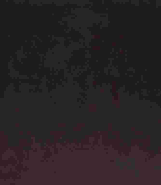 Adley FR Velvet Fabric / Chocolate Adley FR Velvet Fabric / Chocolate