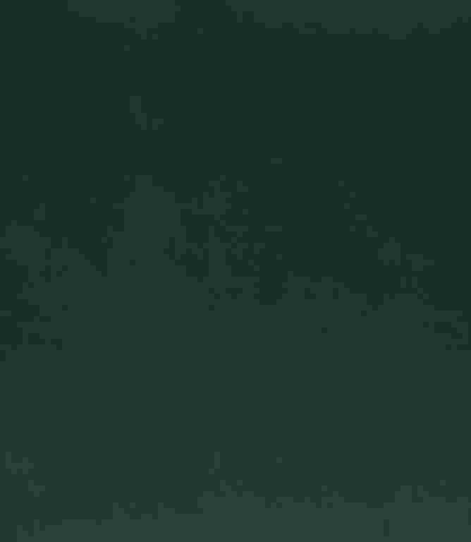 Adley FR Velvet Fabric / Evergreen Adley FR Velvet Fabric / Evergreen