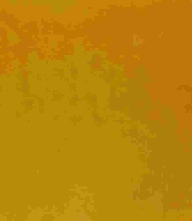 Adley FR Velvet Fabric / Ochre Adley FR Velvet Fabric / Ochre