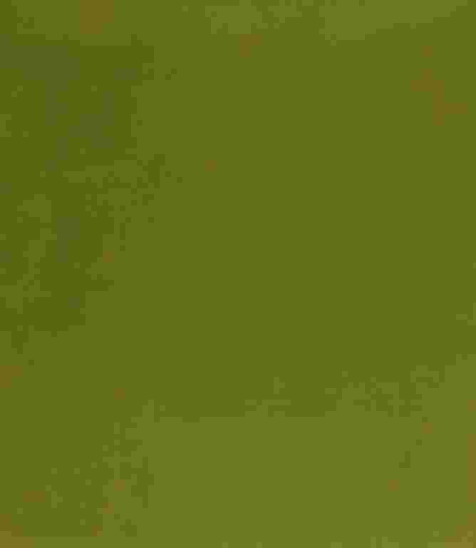 Adley FR Velvet Fabric / Pistachio Adley FR Velvet Fabric / Pistachio