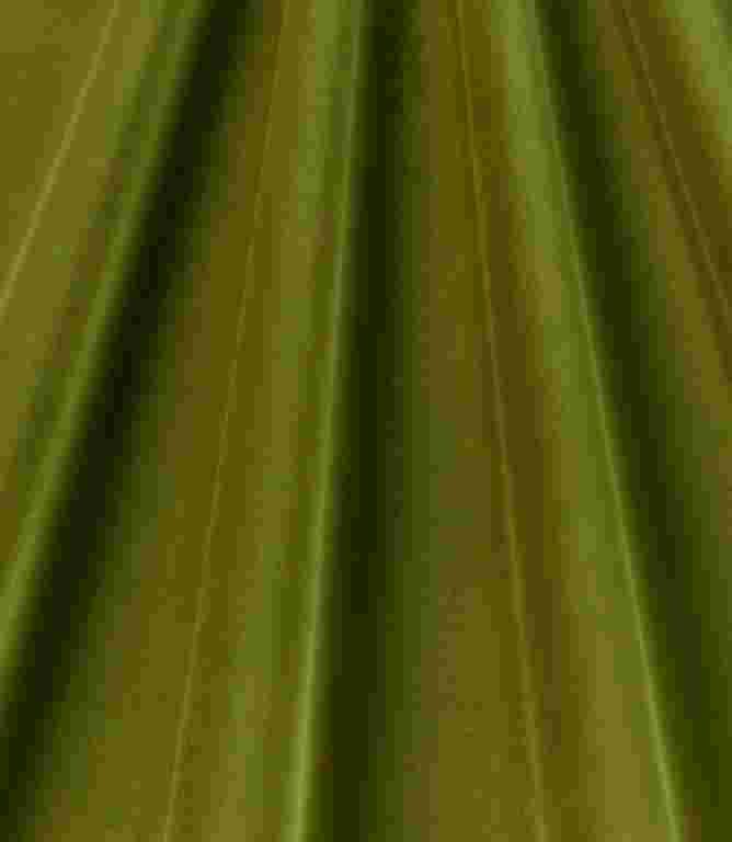 Adley FR Velvet Fabric / Pistachio Adley FR Velvet Fabric / Pistachio
