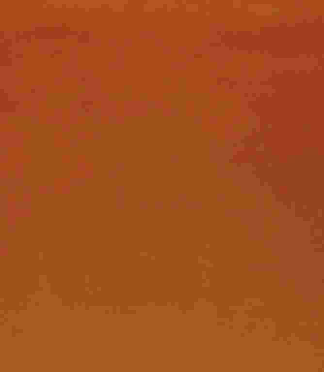 Adley FR Velvet Fabric / Pumpkin Adley FR Velvet Fabric / Pumpkin