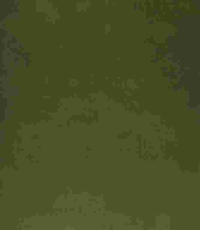 Adley FR Velvet Fabric / Sage Adley FR Velvet Fabric / Sage