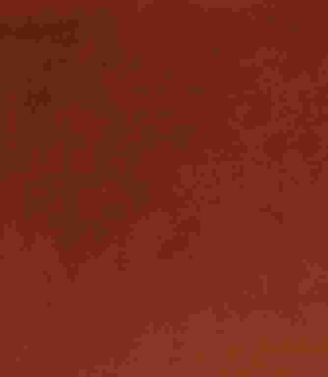 Adley FR Velvet Fabric / Spice Adley FR Velvet Fabric / Spice