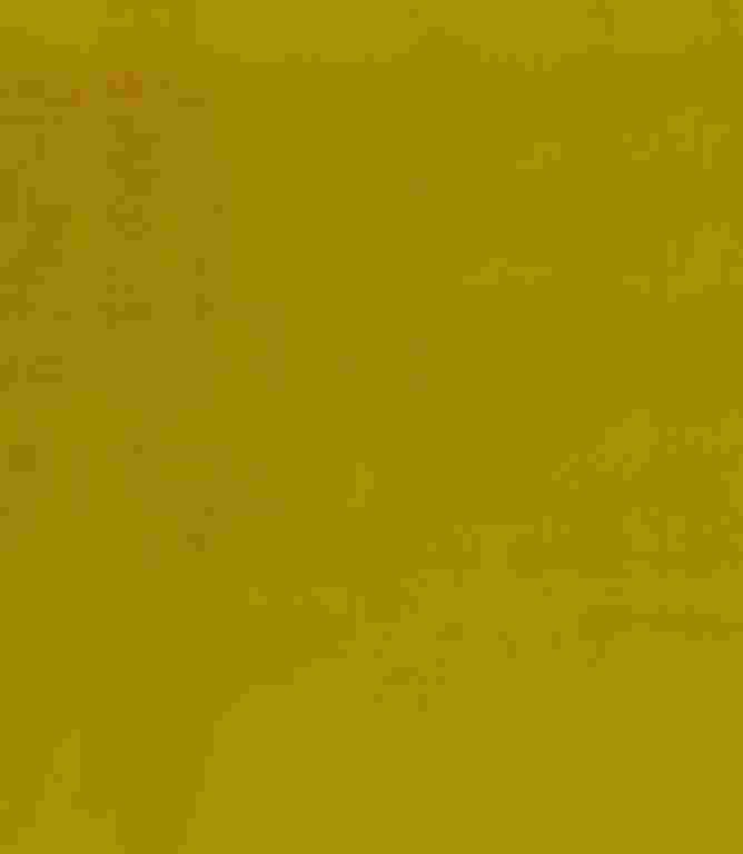 Adley FR Velvet Fabric / Sunshine Adley FR Velvet Fabric / Sunshine