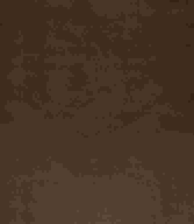 Adley FR Velvet Fabric / Truffle Adley FR Velvet Fabric / Truffle