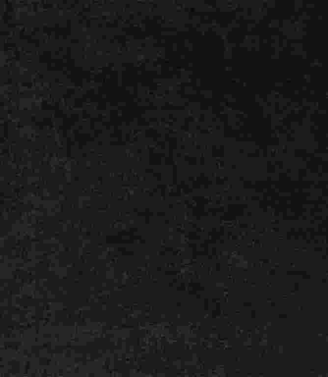 Belgravia FR Fabric / Black Belgravia FR Fabric / Black