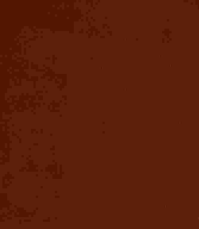 Brookland FR Fabric / Burnt Orange Brookland FR Fabric / Burnt Orange