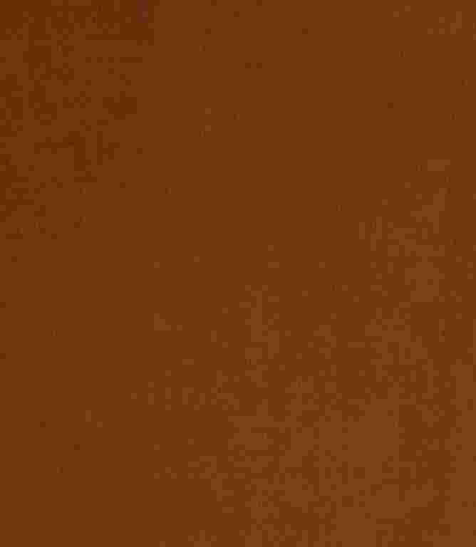 Brookland FR Fabric / Papaya Brookland FR Fabric / Papaya