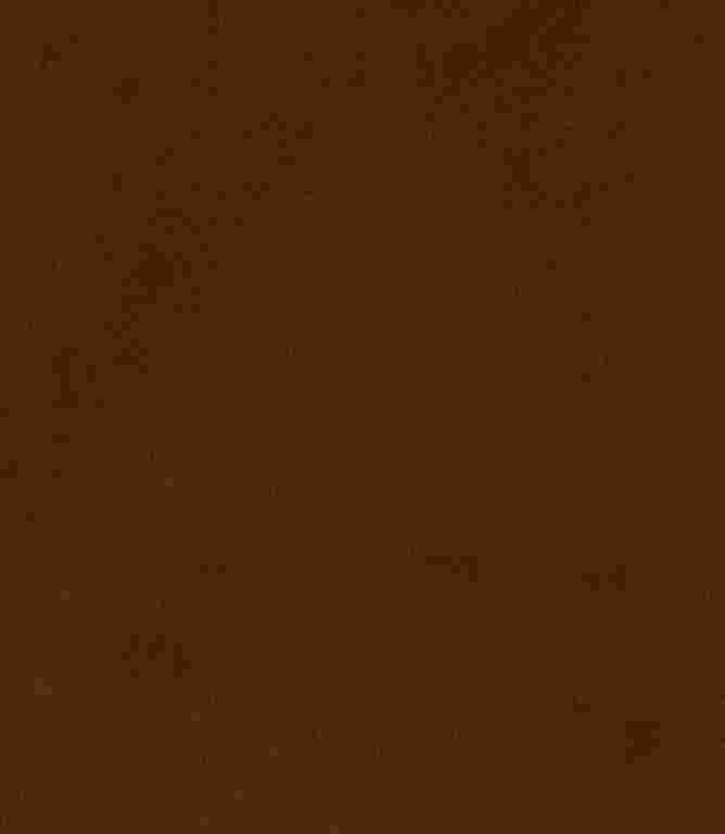 Brookland FR Fabric / Rust Brookland FR Fabric / Rust