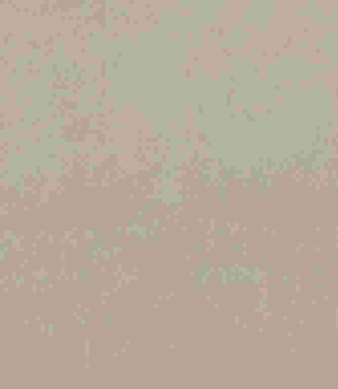 Brookland FR Fabric / Silver Birch Brookland FR Fabric / Silver Birch