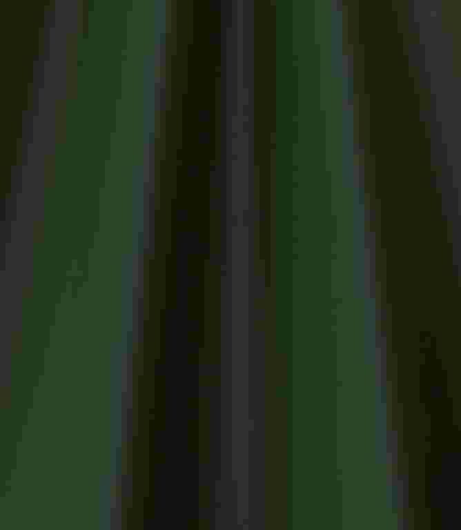 Burghley FR Vinyl Leather Fabric / Forest Burghley FR Vinyl Leather Fabric / Forest