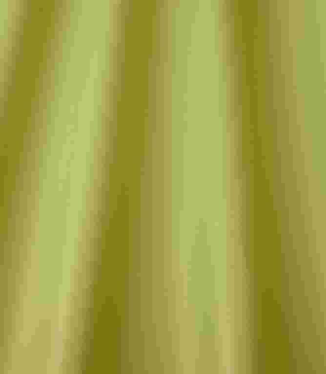 Burghley FR Vinyl Leather Fabric / Lime Burghley FR Vinyl Leather Fabric / Lime