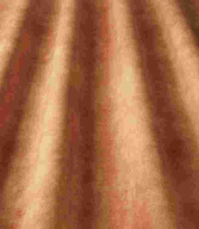 Casa FR Fabric / Shell Casa FR Fabric / Shell