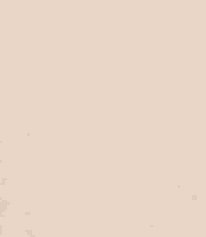 Eclipse FR Fabric / Flax Eclipse FR Fabric / Flax