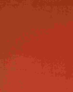 Soul FR Fabric / Burnt Orange Soul FR Fabric / Burnt Orange