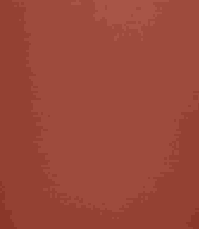 Elegance FR Fabric / Burnt Sienna Elegance FR Fabric / Burnt Sienna