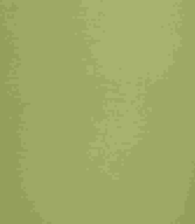 Elegance FR Fabric / Lime Elegance FR Fabric / Lime