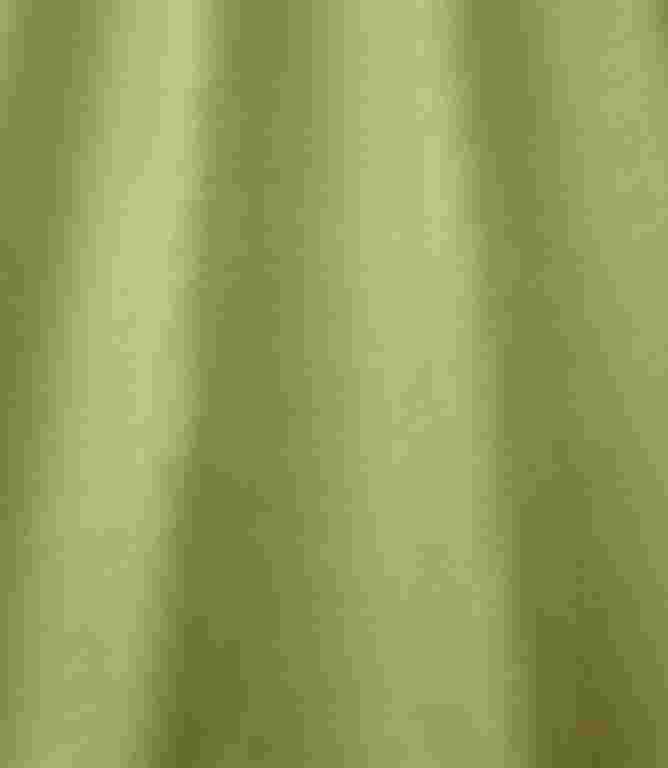 Elegance FR Fabric / Lime Elegance FR Fabric / Lime