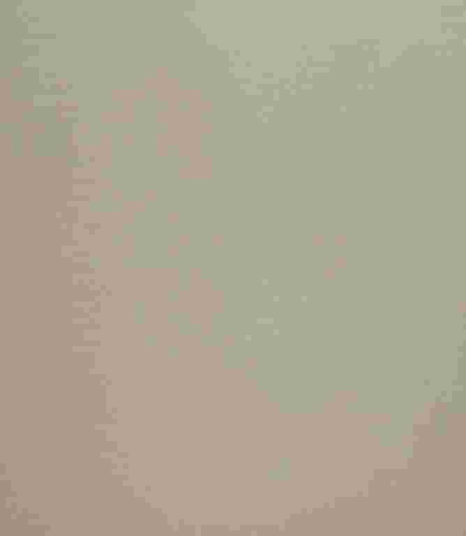 Elegance FR Fabric / Oatmeal Elegance FR Fabric / Oatmeal