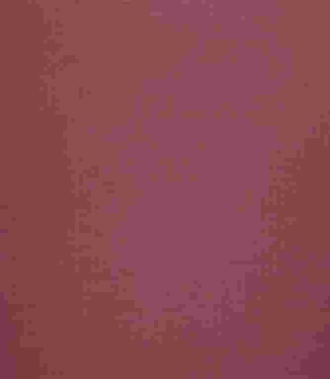 Elegance FR Fabric / Rose Elegance FR Fabric / Rose