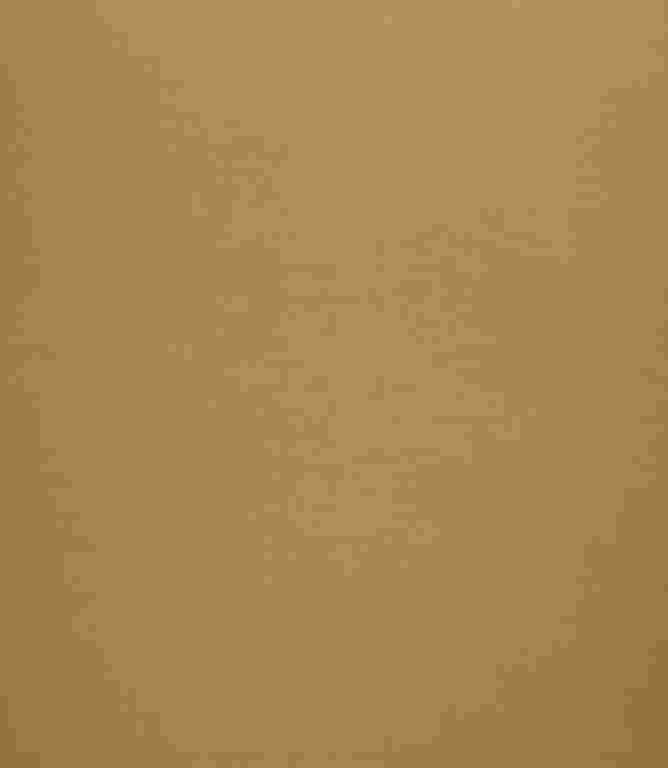 Elegance FR Fabric / Saffron Elegance FR Fabric / Saffron