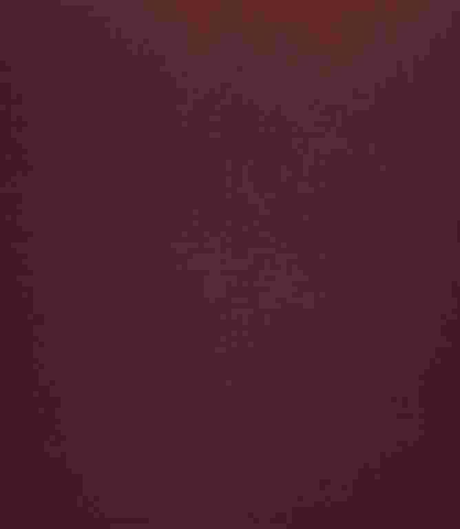 Elegance FR Fabric / Wine Elegance FR Fabric / Wine