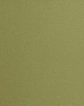 Tundra FR Fabric / Pistachio Tundra FR Fabric / Pistachio