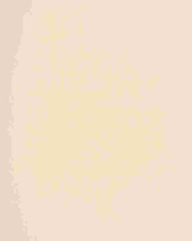 Broadway Linen Look Fabric / Ivory Broadway Linen Look Fabric / Ivory