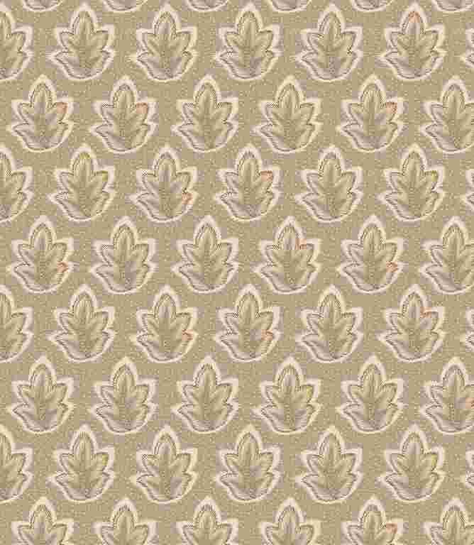 Latte Fabric