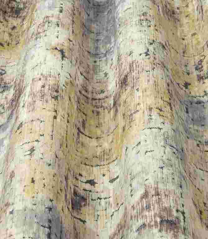 Azoth FR Fabric / Dijon Azoth FR Fabric / Dijon