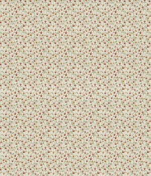 Safi Fabric Safi Fabric