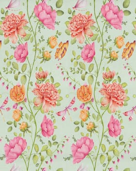 Alice Fabric / Apricot Alice Fabric / Apricot