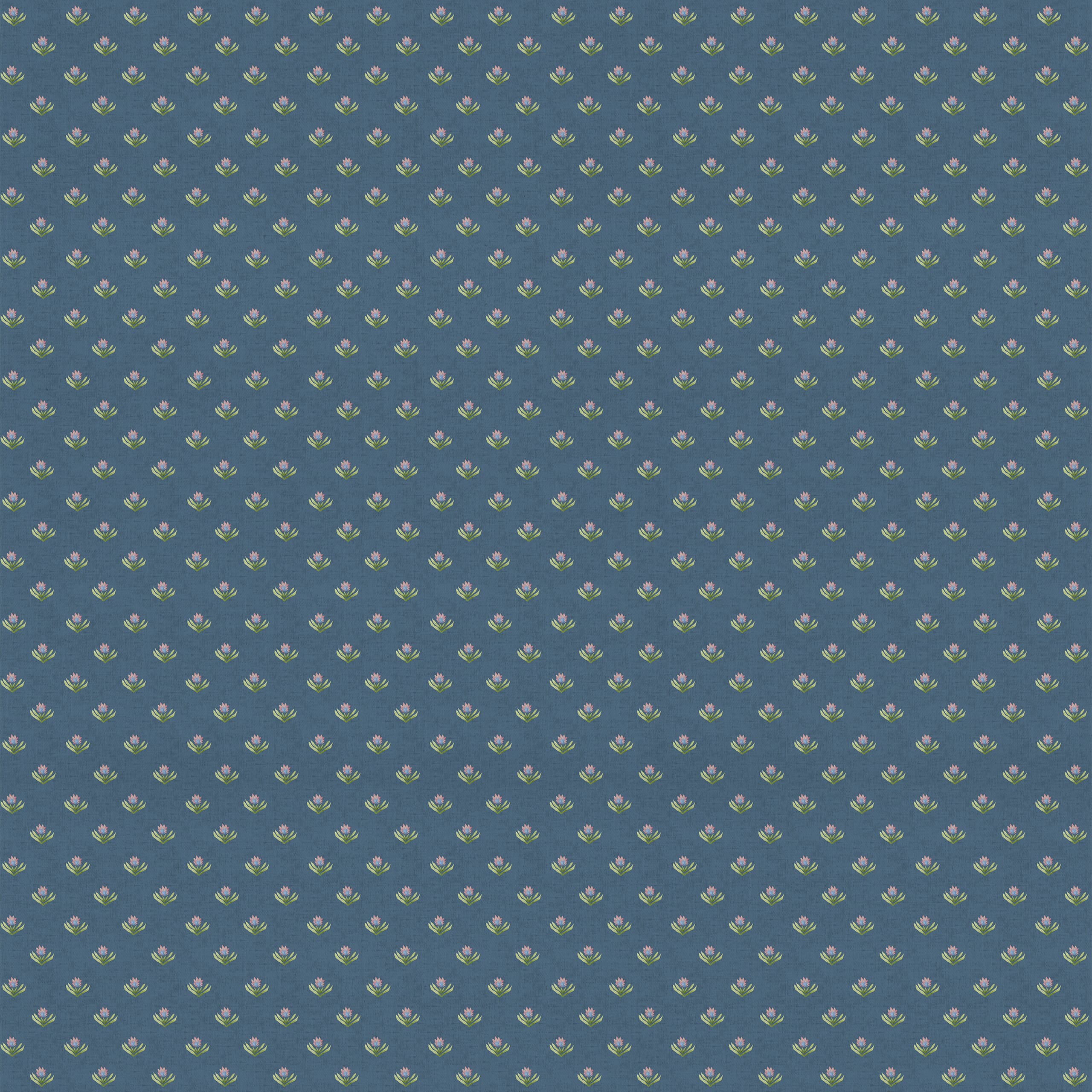 Denim Raja Fabric