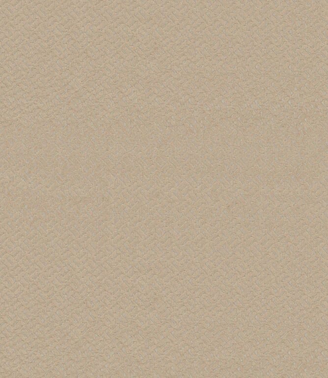 Taupe Fabric