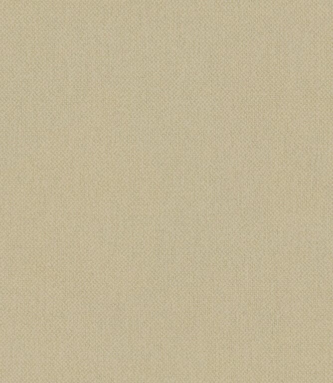 Lemongrass Oxford Fabric