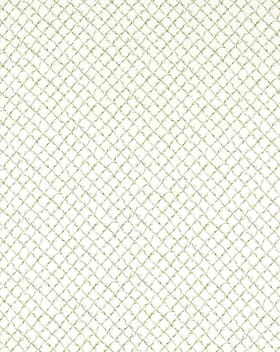 Harlequin Daisy Trellis Fabric / Emerald / Pearl Harlequin Daisy Trellis Fabric / Emerald / Pearl