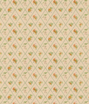 Peach Trellis Fabric Peach Trellis Fabric