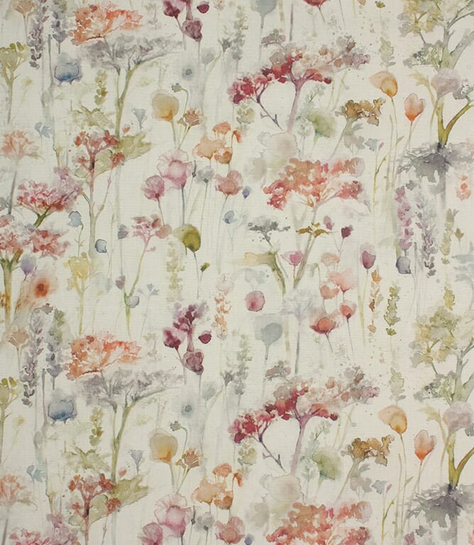 Poppy / Cream