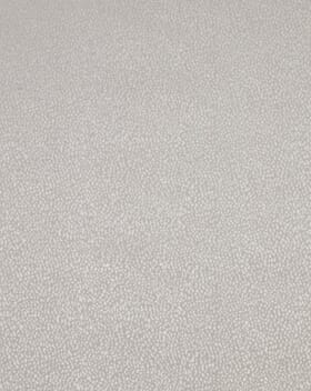 Montacote Damask Fabric / Champagne Montacote Damask Fabric / Champagne