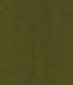 Strawberry Thief Fabric Strawberry Thief Fabric