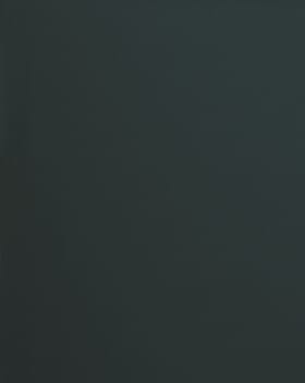 Lanai Tapestry Fabric / Lichen Lanai Tapestry Fabric / Lichen