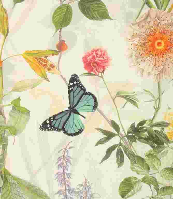 Secret Garden Fabric / Cream Secret Garden Fabric / Cream